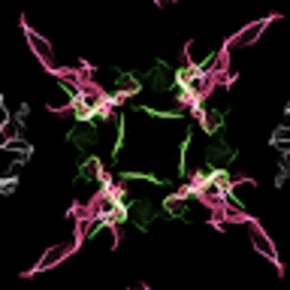 Meet your Posher, Xion - Picture 1 of 1